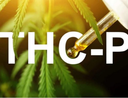 THCP: The New Cannabinoid On The Block