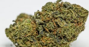 Green Crack is a top wake and bake cannabis strain