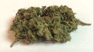 Harle-Tsu cannabis strain extracts
