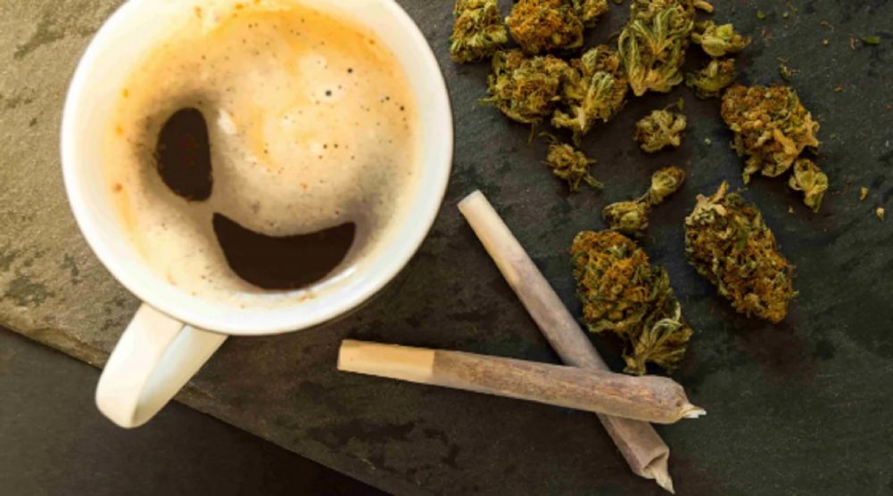 wake and bake cannabis strain