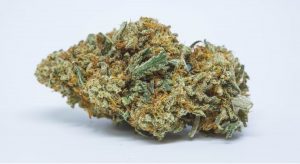 Pineapple Kush cannabis strain